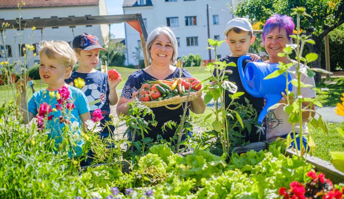 Kindergartenkinder als „Gemüsegartler“