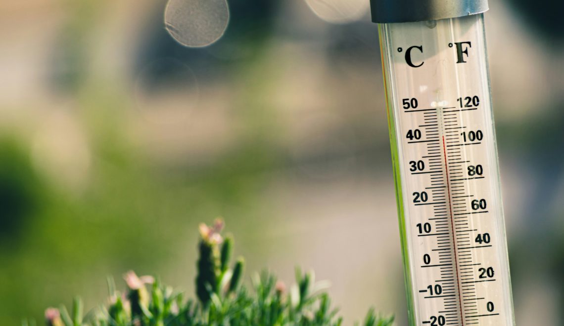 Ein Hitzewarnsystem kann frühzeitig vor extremen Temperaturen warnen.